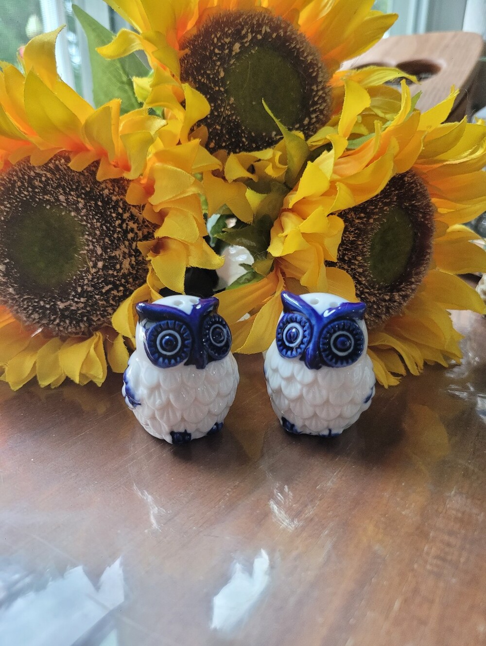 Charming Blue & White Ceramic Owl Salt and Pepper Shaker Set